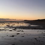 Steve Eichler - @piecatcherz - Instagram