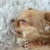 steveneichler8 - @steveneichler8 - TikTok