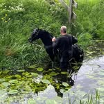 Steven Eilander - @steveneilander54 - Instagram