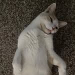 Steven Elam - @1_n0_l0ng3r_h4t3_1nt54 - Instagram