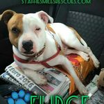Steven Elder - @elder4122 - Instagram