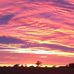 Steve Eley - Facebook