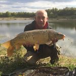 Steven Eley - @steven.eley.16 - Instagram