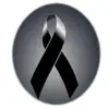 Steven Elizardo Sosa - @stevenelizardososaquisp0 - TikTok