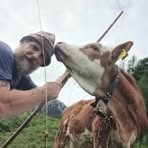 Stefan Ellinger - Facebook