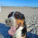 Stefan Emmerich - Facebook