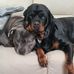 Steve Endicott - Facebook