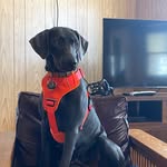 Steven Enfinger - @black89comanche - Instagram