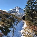 Steven Epp - @stevenepp - Instagram