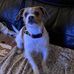 Steve Esh - Facebook