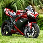 Steve Nesh - @steve.nesh - Instagram