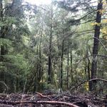Steven Estep - @steven.estep.5036 - Instagram