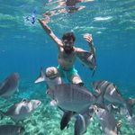 Steven Ethier - @stevenethier1 - Instagram