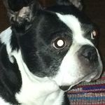 Steven Eubanks - @laughstatue87steven - Instagram