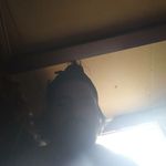 Steven Eubanks - @steven.eubanks.5686 - Instagram