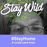 Steven Everson - @eversonsteven - Instagram