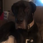 Steven Falkowski - @stevefalk1973 - Instagram
