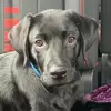 stevenfallon.7 - @stevenfallon.701 - TikTok