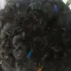 Steven Feeser - @stevenfeeser5 - TikTok