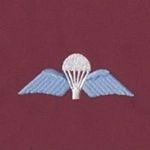 Steven Fell - @stevef1p - Instagram