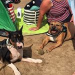 Steven Fell - @steven.fell.946 - Instagram