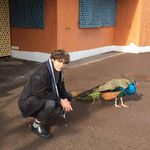 Steven Fell - @stevfell - Instagram