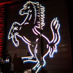 Steven Fellheimer - @stevenfellheimerphotography - Instagram
