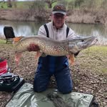 Steven Fellows - @stevenfellows70 - Instagram