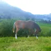 steven Fernándo - @steven.fernndo - TikTok