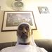 Steven Ferrell - Facebook