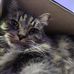 Steven Fick - Facebook