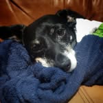 Steven Fielder - @flipping_cents_in2_dollars - Instagram
