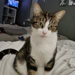 Steven Fielding - @sfielding1966 - Instagram