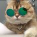 Steven Files - Facebook