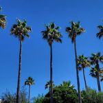 Steven Fincken - @stevenfincken - Instagram