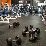 Steven Findley - @3sathletictraining - Instagram