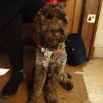 Steven Findley - @thelegendstevenfindley - Instagram