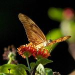 Steven Finkel - @archer610239 - Instagram