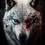 Steve Fiscus - @stevefis72 - Instagram