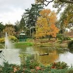 Steve Flatt - @flattsteve - Instagram