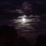 Steven Fleming - @steven.fleming.5895834 - Instagram