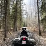 Steven Forester - @forestersteven - Instagram