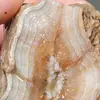 Steven Forester - @steven.forester - TikTok