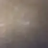 Steven forrester - @steven_forester444 - TikTok