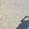 steven fox - @stevenfox81 - TikTok