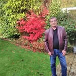steve foxall - @foxallsteve - Instagram