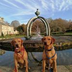 Steven Frame - @frame9302 - Instagram