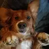 user4618370577208 - @steven.outdaframe - TikTok
