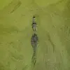 Steven Szalai - @stevenfrederickson - TikTok