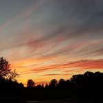 Steven Freitag - @smfreitag - Instagram